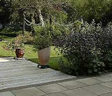 Image of garden