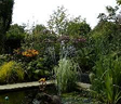 Image of pond