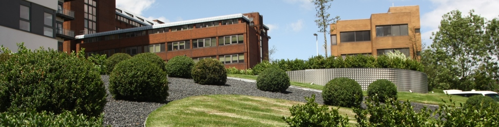 Commercial Landscapes