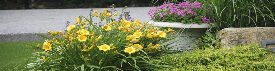 Testimonials header image