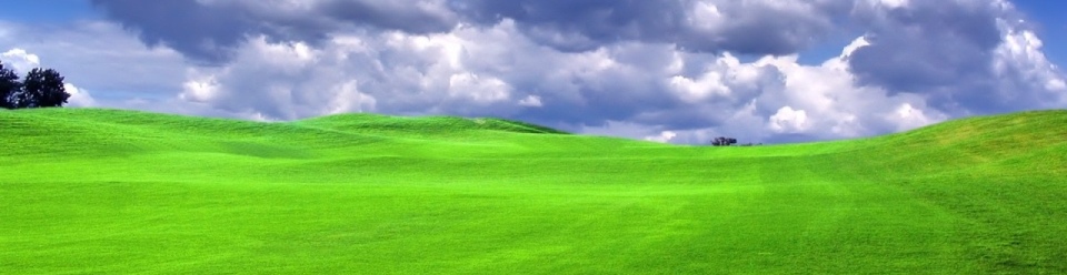 Specialist page header image