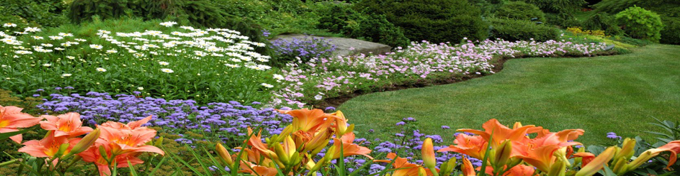 About Millstone Landscapes