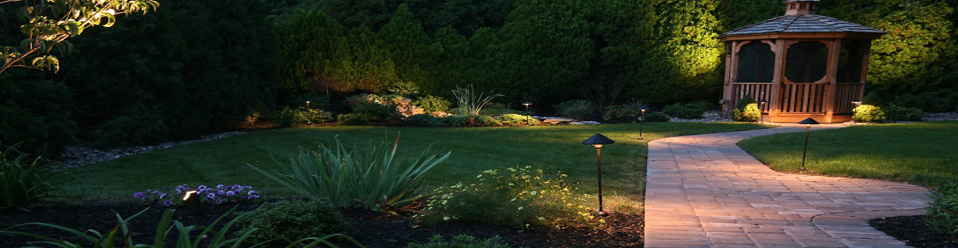 Contact us header image