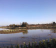 Balancing Pond in North Bersted