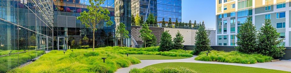 Commercial Landscapes